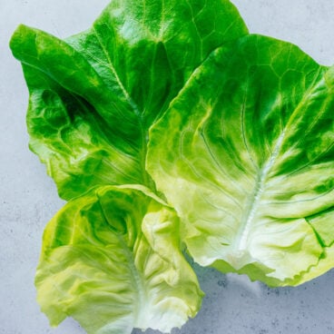 Butter Lettuce